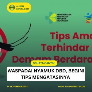 Waspadai Nyamuk DBD, Berikut Tipsnya